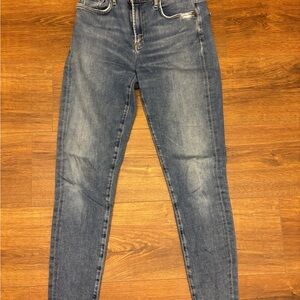 Agolde Women's Skinny Jeans in Faded Blue